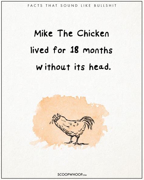 weird facts that sound fake but are true